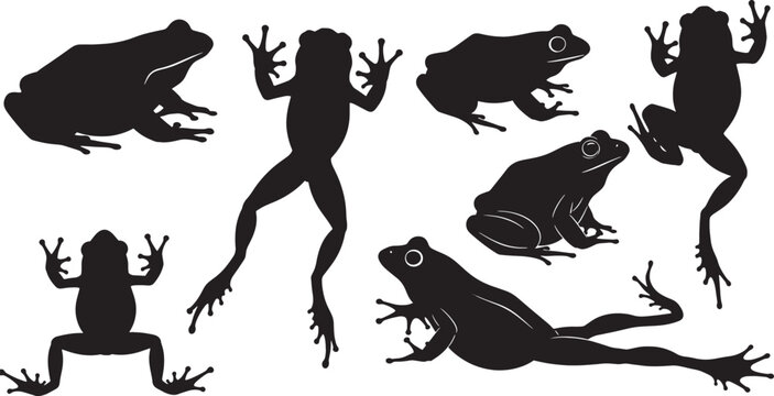 Set of cute cartoon animal silhouettes and vector illustrations featuring green frogs, reptiles, and amphibians for nature wildlife design