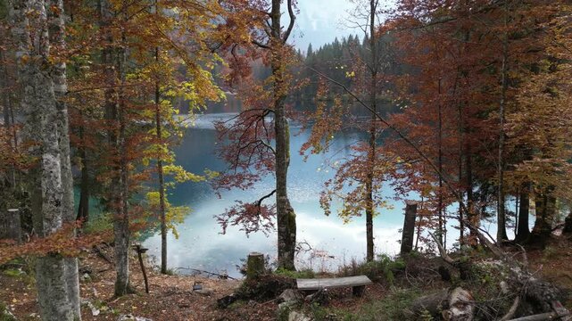 Lago autunno