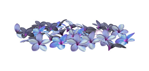 3d render blue hibiscus flowers petals isolated