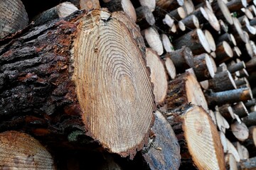 pins coup&eacute;s 8