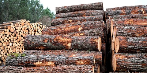 pins coup&eacute;s 7