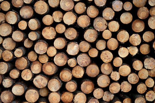 pins coup&eacute;s 6