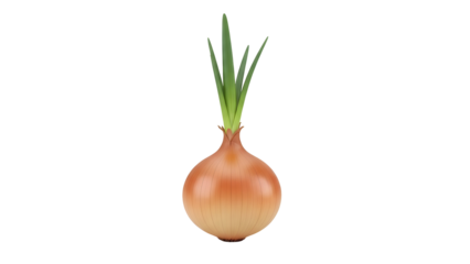 Fresh organic onion with green sprouts growing isolated on transparent background