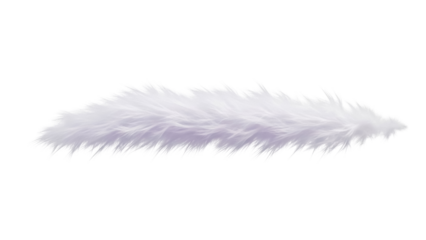 Fluffy white fur strip PNG isolated on transparent background, soft faux fur element for fashion and decorative design projects