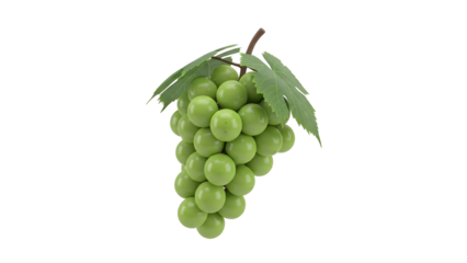Fresh green seedless grapes bunch hanging with leaves isolated on transparent background