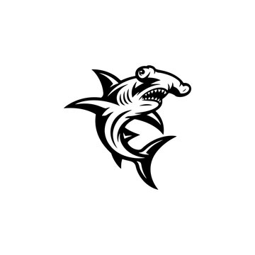 A stylized black hammerhead shark logo with sharp fins, curved body, and fierce teeth is centered on a white background in dynamic tribal tattoo style.