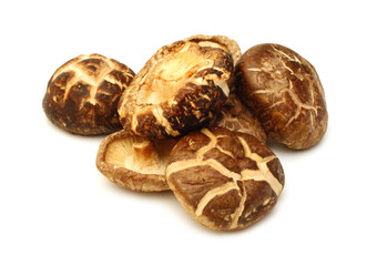 Fototapeta premium Mushrooms dry on white background