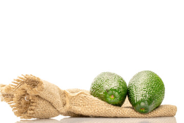 Ripe avocado , isolated on white background, close-up.
