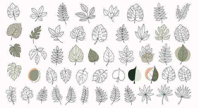 Large collection of diverse leaf sketches and outlines in various shapes and styles on a cream background for art.