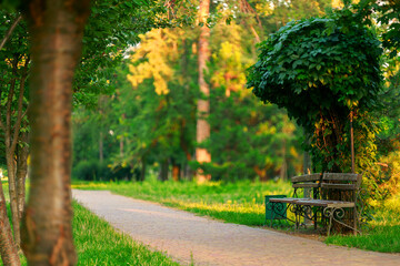 morning picturesque park landscaped summer scenic view pavement trail for walking empty bench and floral plants blurred background