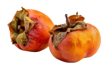 Overripe persimmons showing signs of decay isolated on transparent background. Two ripe persimmons showing texture and color isolated on white background.