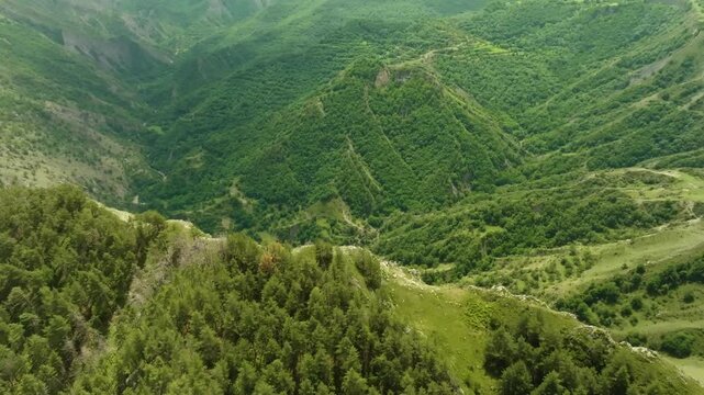 drone footage captures the untouched wilderness and unspoiled landscapes of the Zalala Ridge in Dagestan, Russia, part of the Caucasus Mountains. The high-altitude forest is covered in lush, vibrant s