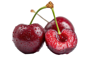 Fresh ripe cherries with water droplets isolated on transparent background. Close up of ripe cherries showing detail and freshness isolated on white background.