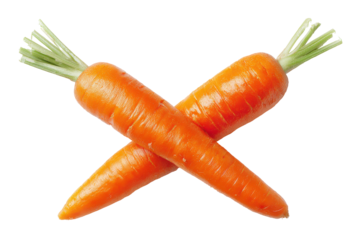 Fresh carrots crossed isolated on transparent background. Two fresh carrots crossed isolated on white background.