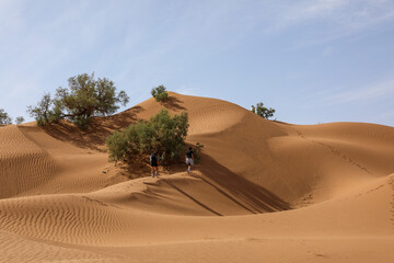 Une dune de sable dans le d&eacute;sert marocain.