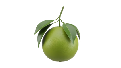 Fresh green orange with leaves isolated on transparent background high quality png cutout