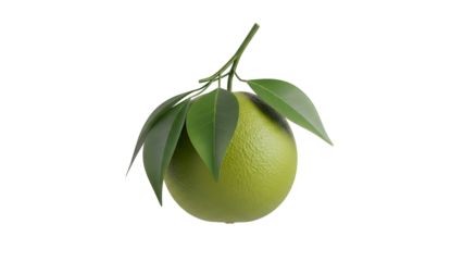 Fresh green lime fruit with leaves isolated on transparent background high resolution png cutout