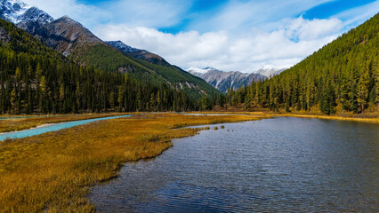 Fototapeta premium The Shavla River in Altai in autumn, viewed from a drone