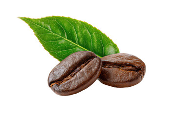 Roasted coffee beans with a green leaf isolated on transparent background. Two roasted coffee beans and a green leaf isolated on white background.