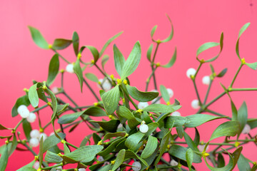 Fototapeta premium photo of a mistletoe bouquet with a red ribbon