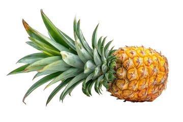 Ripe yellow pineapple with green leaves isolated on transparent background. Tropical pineapple fruit with green leaves isolated on white background.