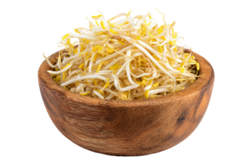 Fresh bean sprouts in a wooden bowl isolated on transparent background. Bean sprouts in wooden bowl fresh and healthy ingredient isolated on white background.