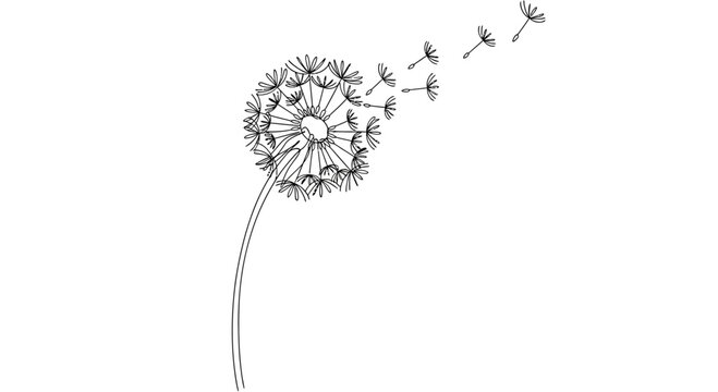 Dandelion flower with seeds blowing away.