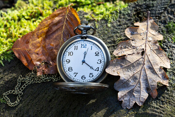 Taschenuhr in der Natur