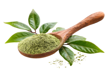 Wooden spoon filled with dried green tea powder and fresh leaves isolated on transparent background. Green tea powder on wooden spoon with leaves isolated on white background.