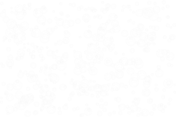 Abstract composition of numerous white bubbles and rings on a transparent background