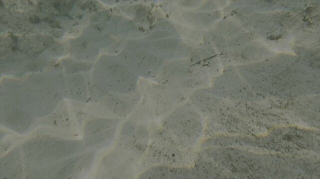 Sun rays reflecting on the white sandy bottom of the ocean creating a wavy pattern