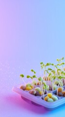Seedling tray with coco pellets and mist bottle on pastel gradient background
