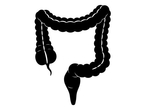 A nice silhouette icon of human large intestine or colon vector illustration