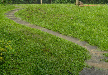 Stone pathway through green grass lawn in costa rica garden with water rushing down the path from heavy rainfall. Serene landscape tropical garden