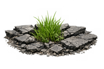 Green grass growing through cracked asphalt on transparent background
