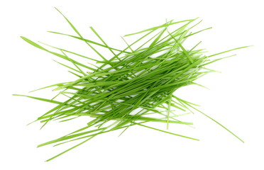 Fresh green young wheat leaves, isolated on white background and texture, top view, design elements