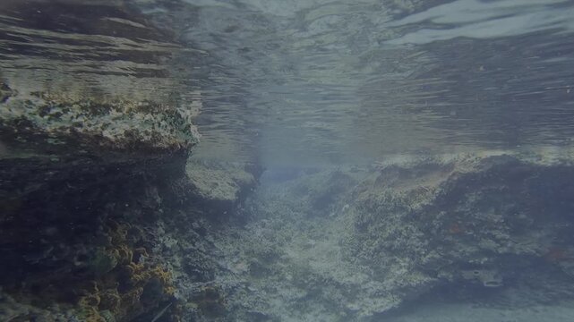 POV Snorkeler exploring coral reef in blue ocean