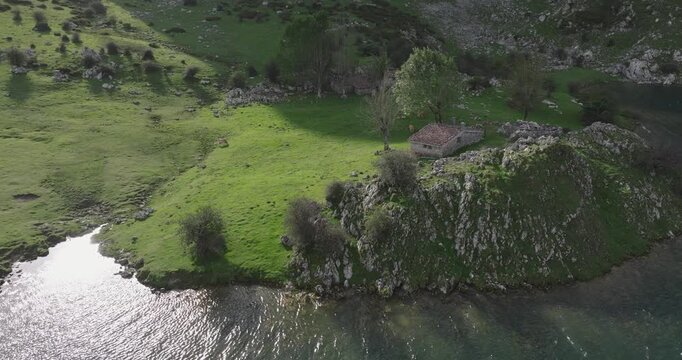 Aerial drone of Lago Enol, Covadonga, Asturias, Spain, green meadows meeting blue water and mountain backdrop under diffused light