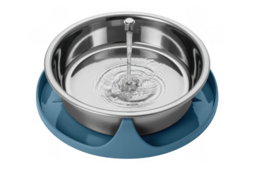Stainless steel pet water bowl with blue base isolated on a transparent background