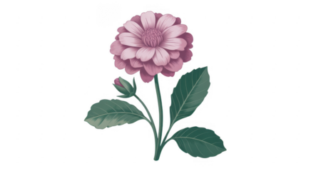 Pink flower with green leaves digital plant nature isolated on a transparent background