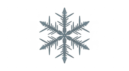 Snowflake ice crystal isolated snowflake isolated on a transparent background