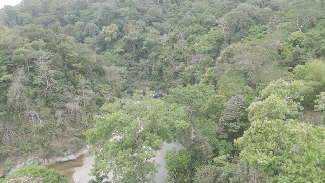 Aerial drone view of Embera Drua indigenous village located along the Chagres River in Colon, Panama. This cinematic scene showcases traditional huts, river landscape, and surrounding tropical rainfor