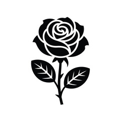 black and white rose with leaves on stem
