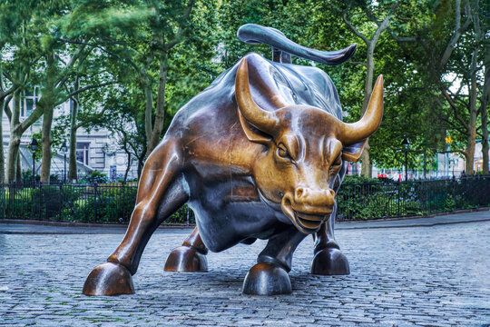 Wall Street Charging Bull in New York City