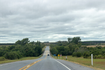 Ruta arbolada en d&iacute;a de lluvia 