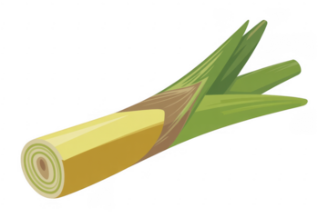 Leek Vegetable green and yellow food cooking ingredient isolated on a transparent background
