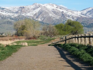 Gravel Path Through Green Meadow with Snowy Mountain Foothills in Spring