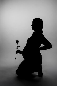 silhouette of a pregnant woman holding a rose in her hand