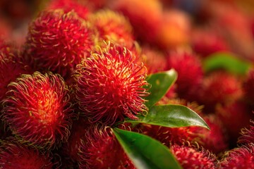 Fototapeta premium Heap of fresh red rambutan fruits with green leaves close up showing hairy skin texture