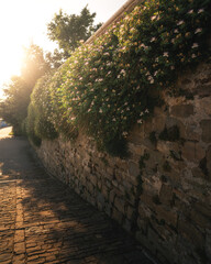 Fototapete bei efototapeten.de bestellen   